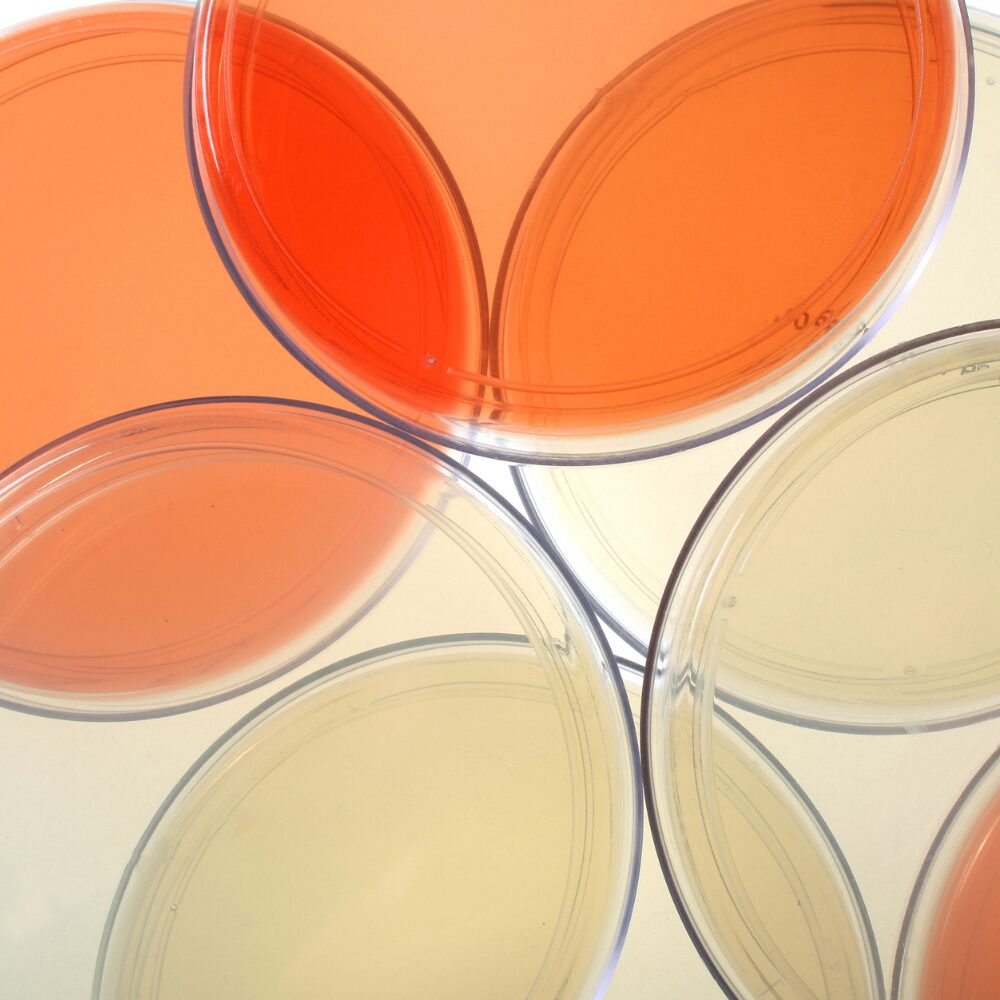 Technical Writing: Articles